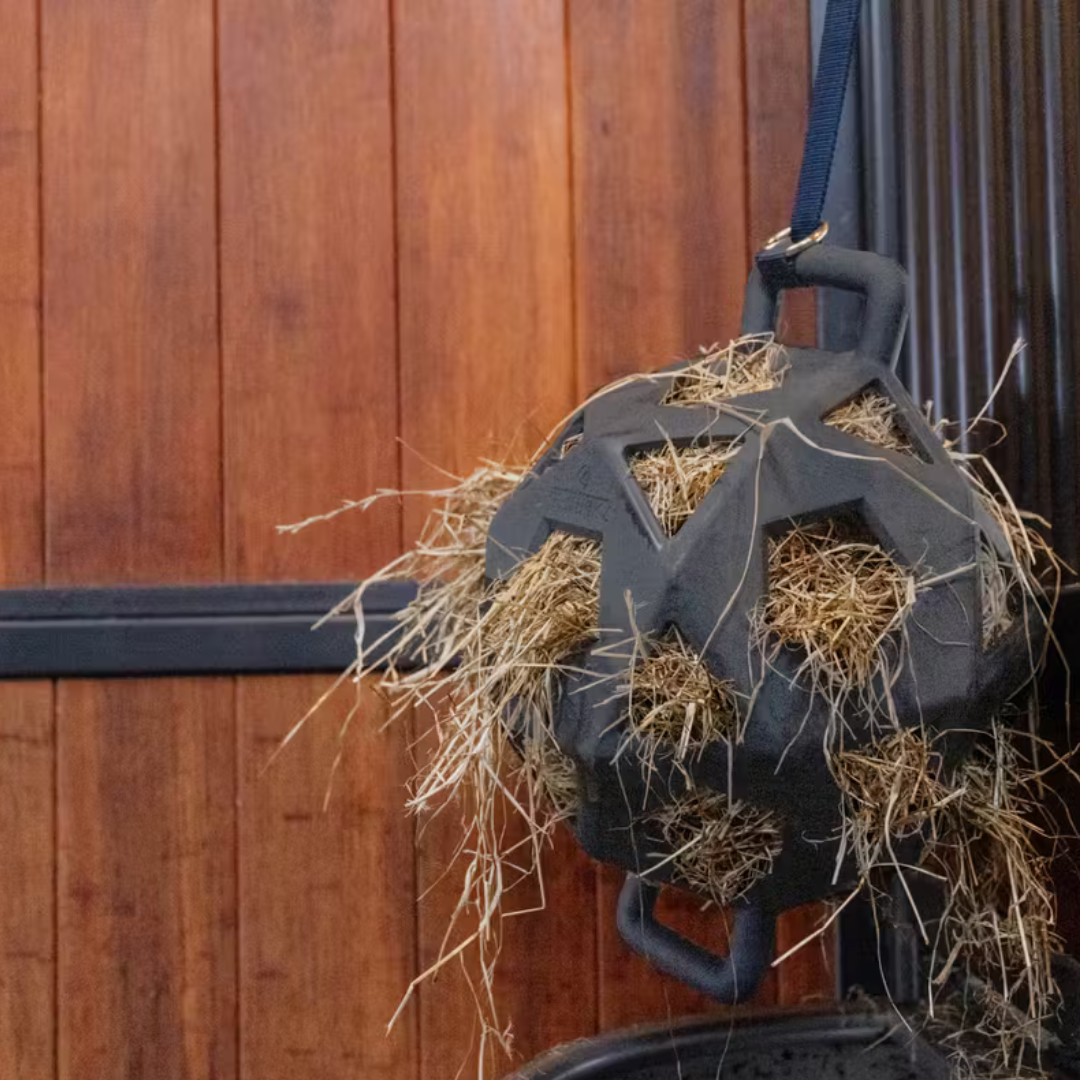KENTUCKY RELAX HORSE PLAY & HAY BALL  - 5