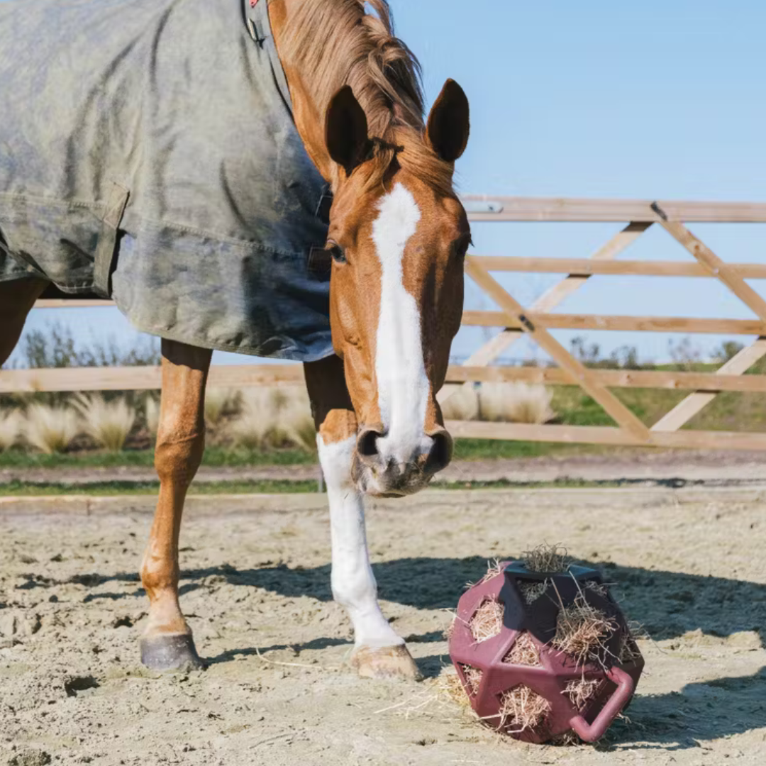 KENTUCKY RELAX HORSE PLAY & HAY BALL  - 8