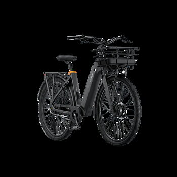 Ecoride Ambassador 4 - Navmotor | Kedja | Fotbroms