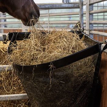 KENTUCKY HAY BAG CORNER