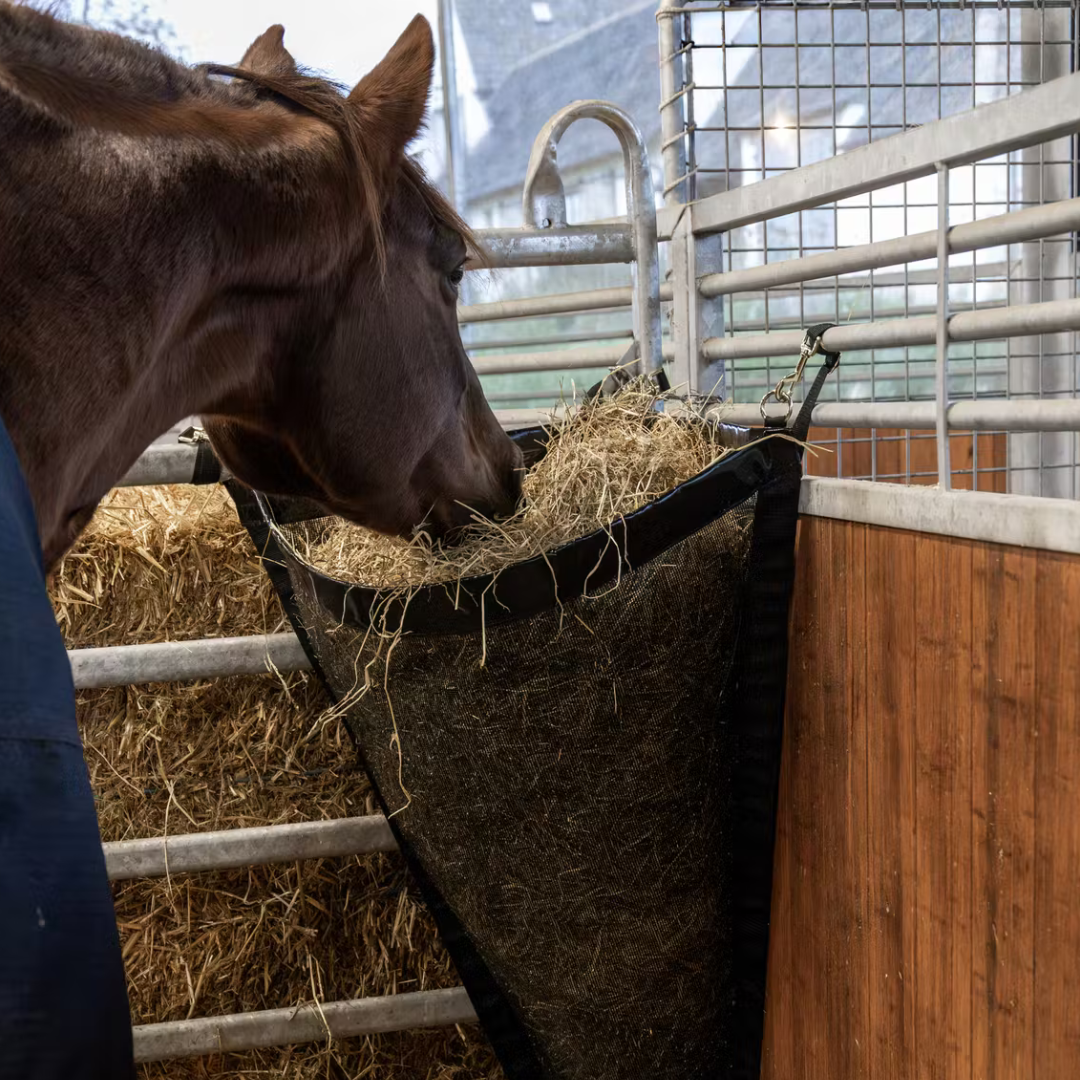 KENTUCKY HAY BAG CORNER - 3