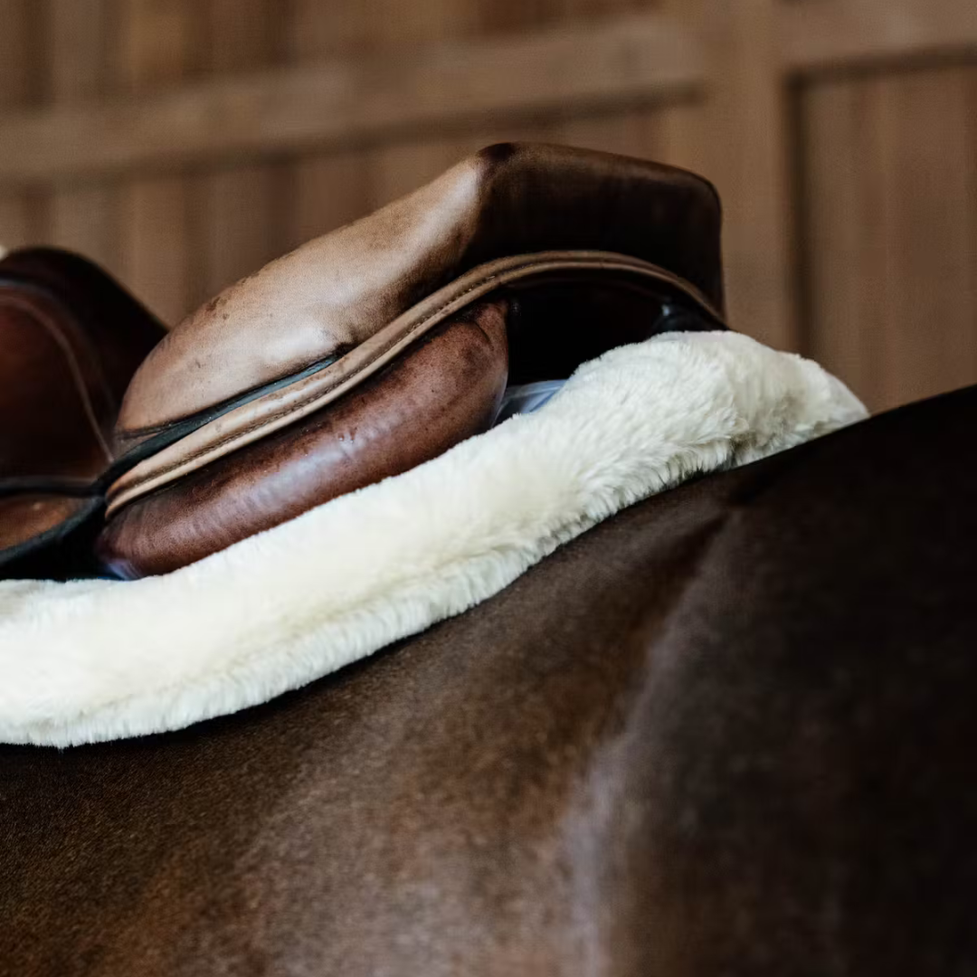 KENTUCKY SADDLE PAD HUNTER VEGAN SHEEPSKIN JUMPING  - 7