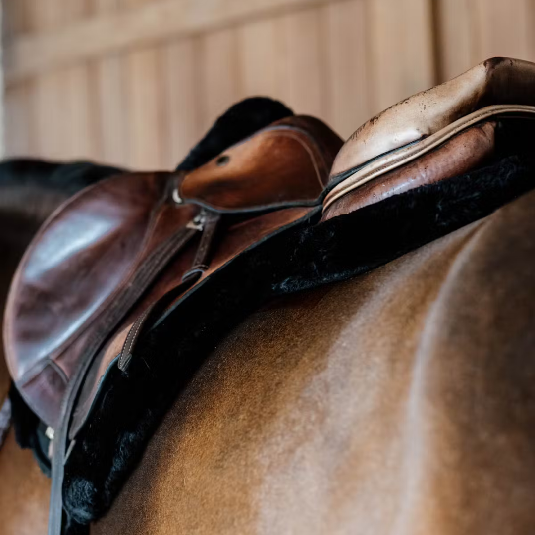 KENTUCKY SADDLE PAD HUNTER VEGAN SHEEPSKIN JUMPING  - 4