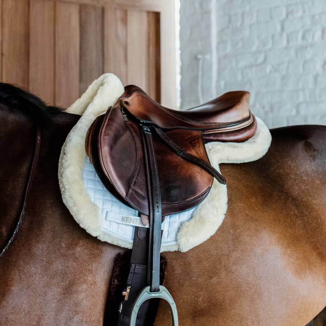 KENTUCKY SADDLE PAD HUNTER VEGAN SHEEPSKIN JUMPING  - 8