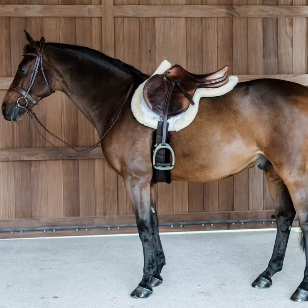 KENTUCKY SADDLE PAD HUNTER VEGAN SHEEPSKIN JUMPING  - 6