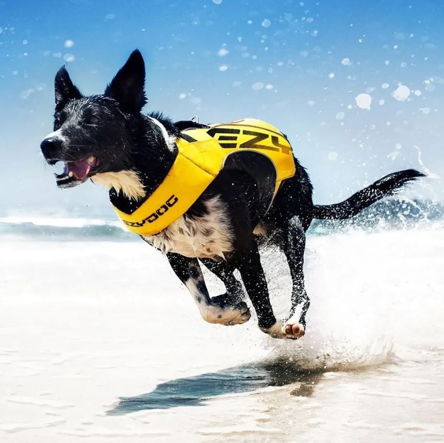 Ezydog Flytväst X2 Boost - Gul - Slittålig