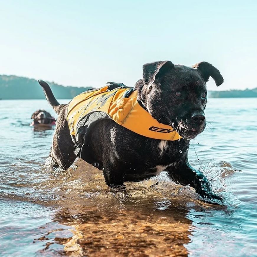 Ezydog Flytväst X2 Boost - Gul 