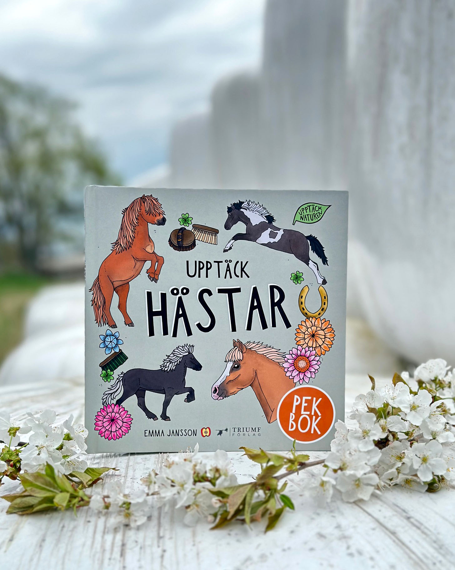 Pekbok - Upptäck hästar - 2