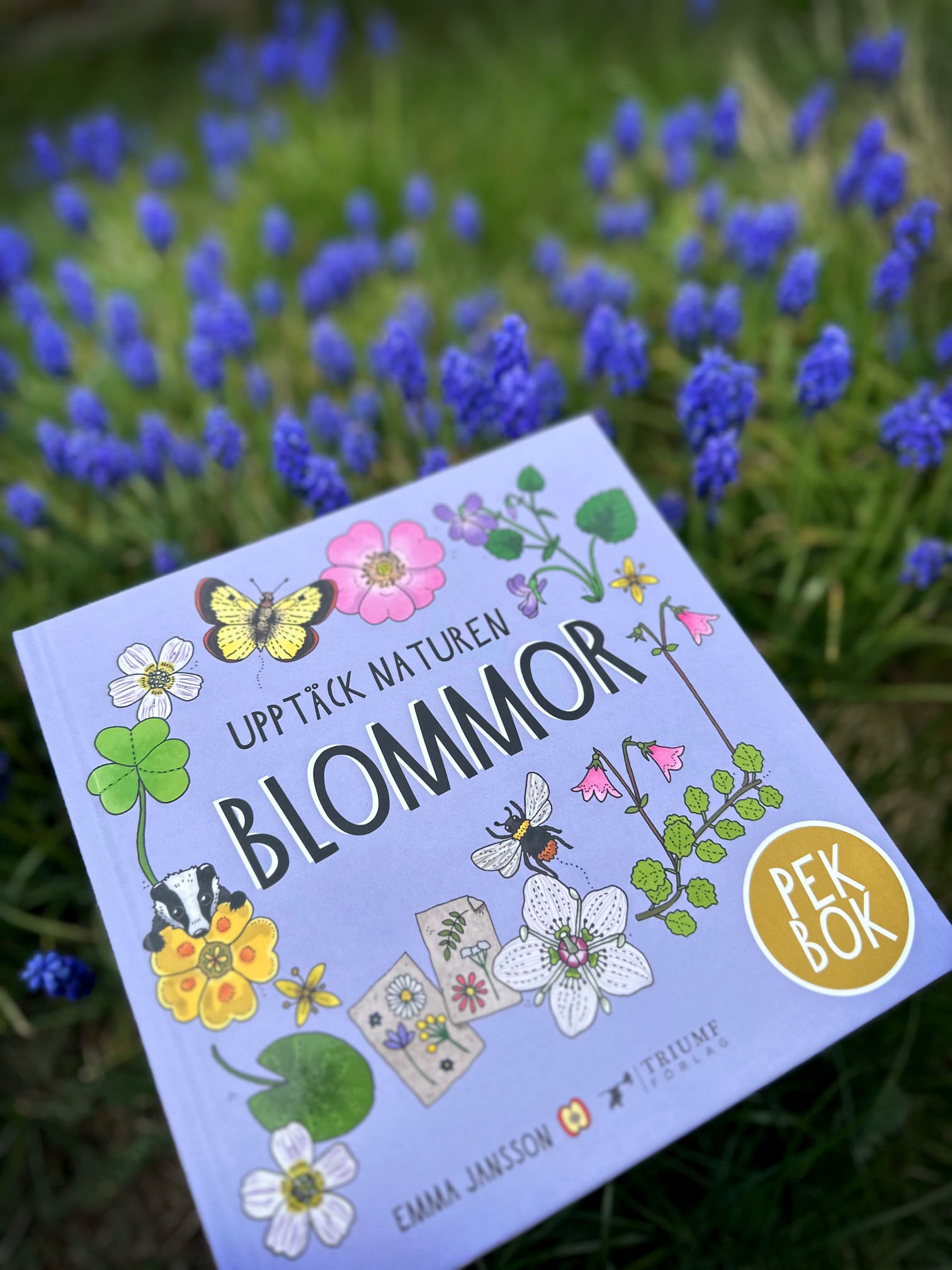 Pekbok - Upptäck naturen Blommor - 6