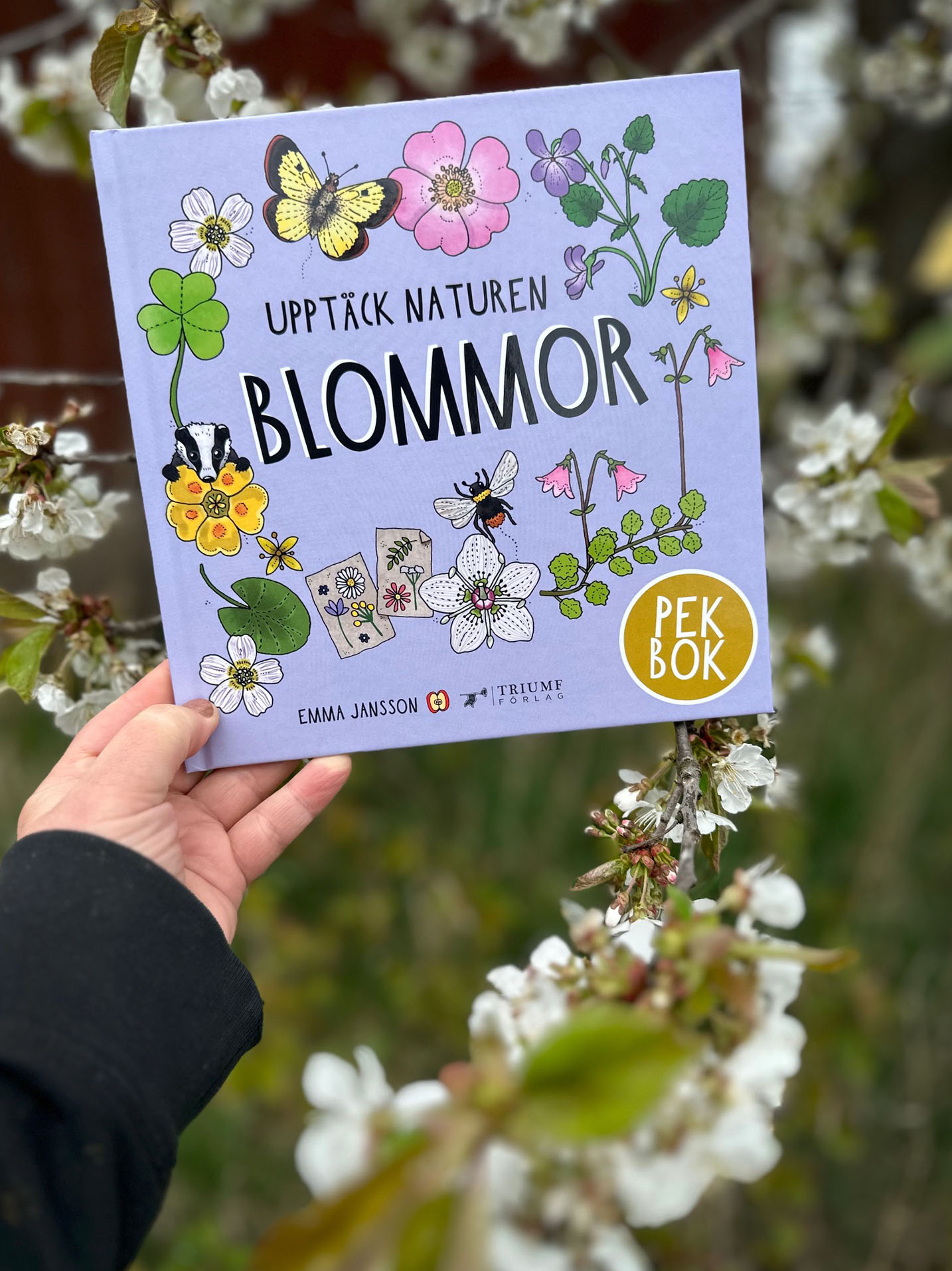 Pekbok - Upptäck naturen Blommor - 2