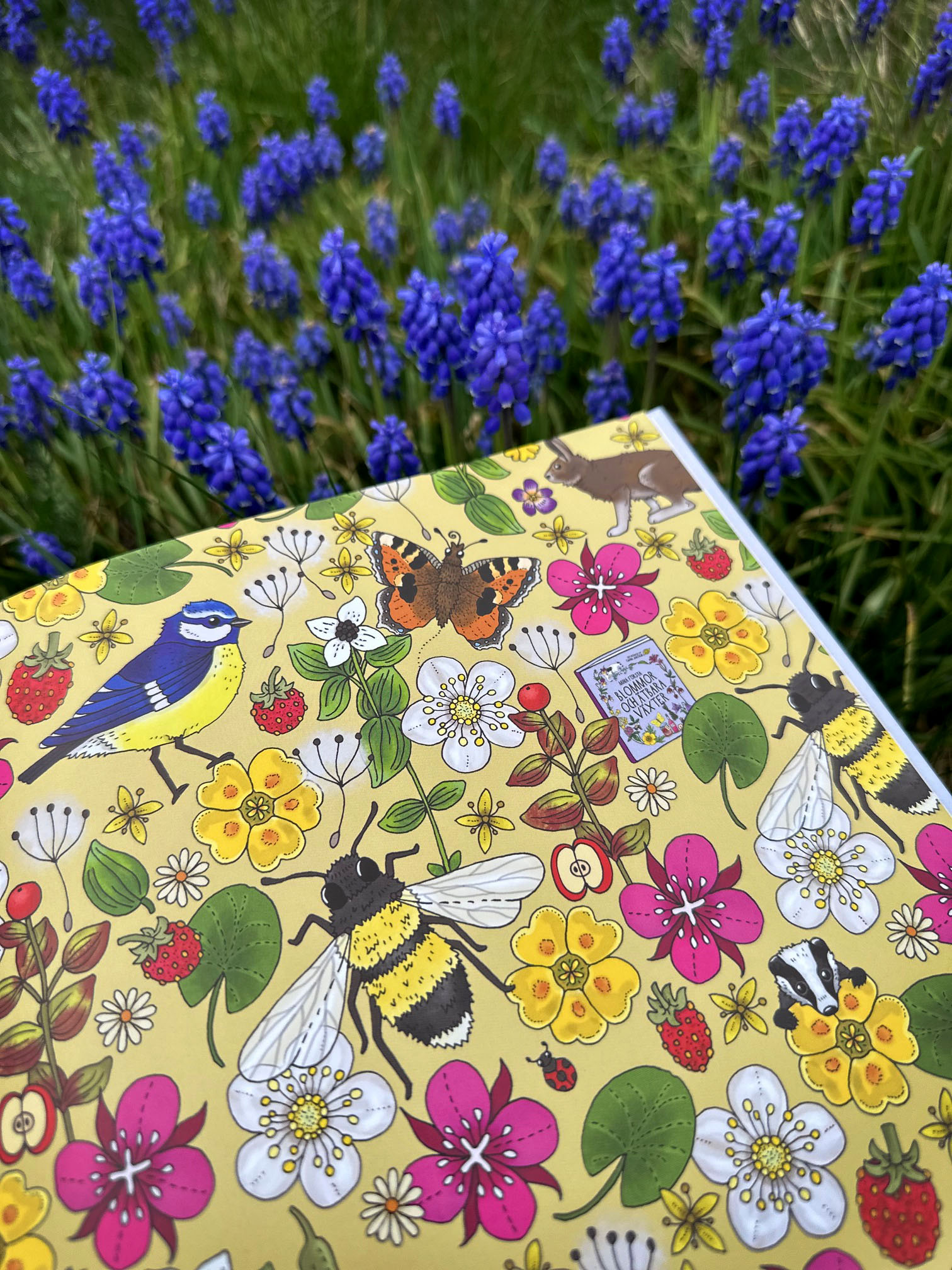 Pekbok - Upptäck naturen Blommor - 5