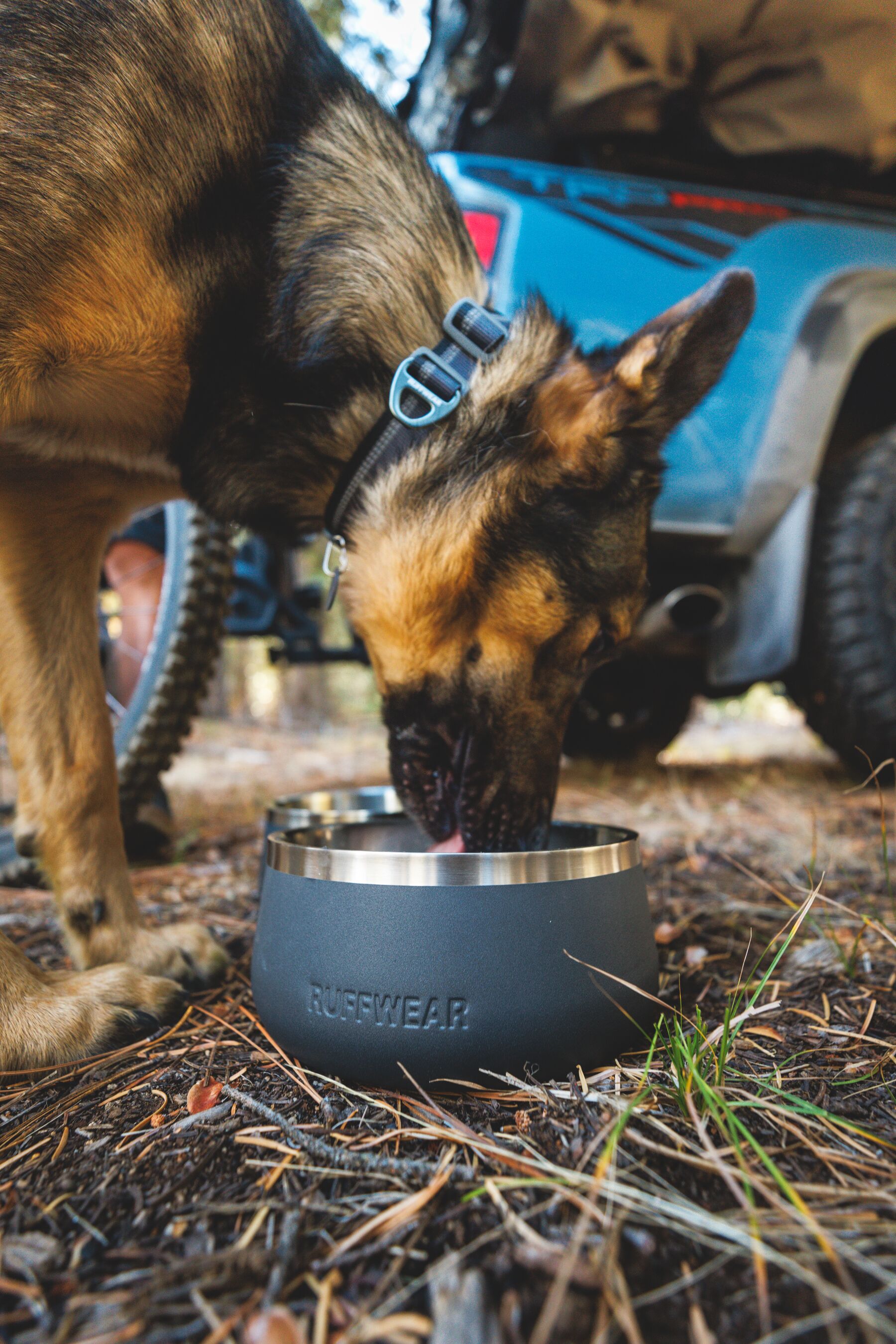 Ruffwear Basecamp Matskål - Basalt Gray - Livsmedelssäkert 