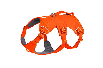 Ruffwear Web Master Dog Harness with Handle – Blaze Orange