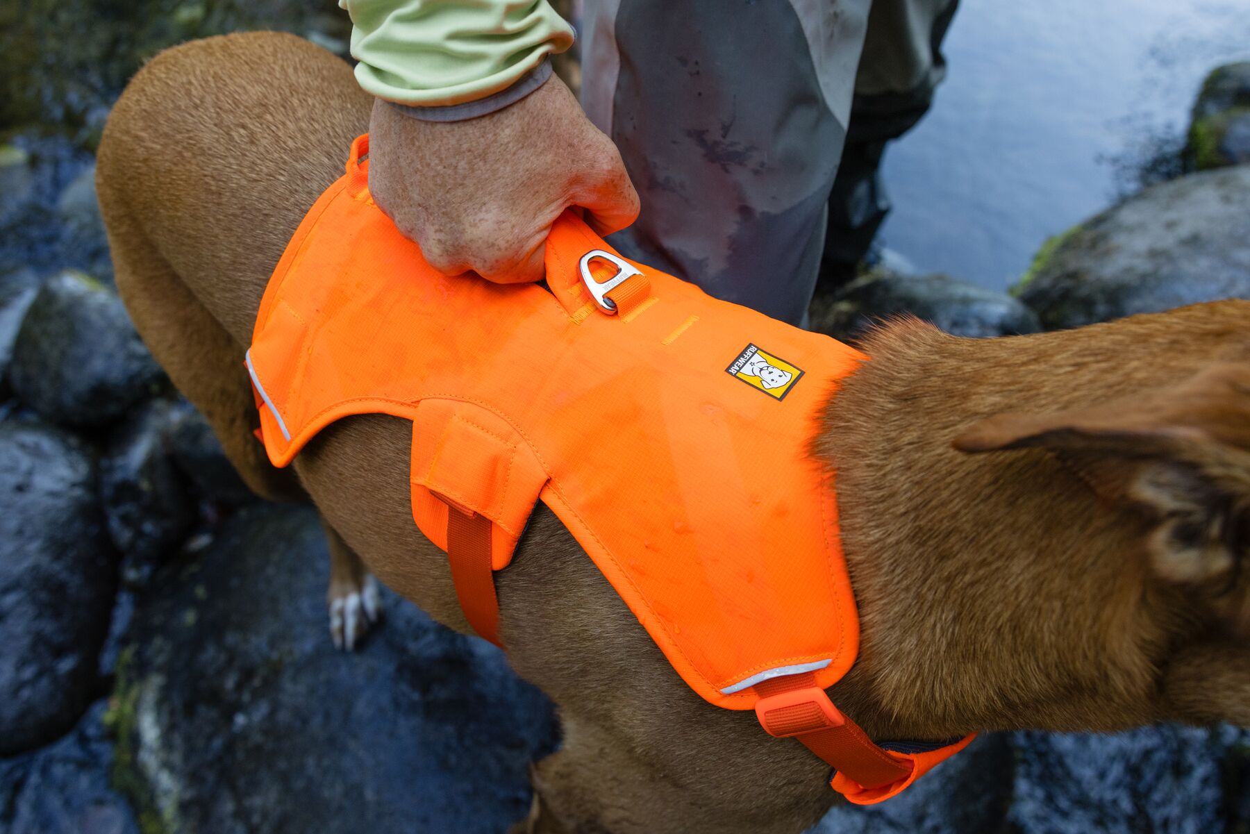 Ruffwear Web Master Dog Harness with Handle – Blaze Orange