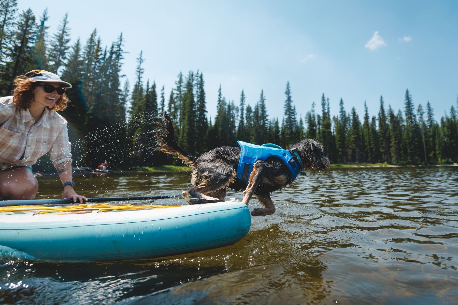 Ruffwear Float Coat Dog Life Jacket – Deep Blue - reliable