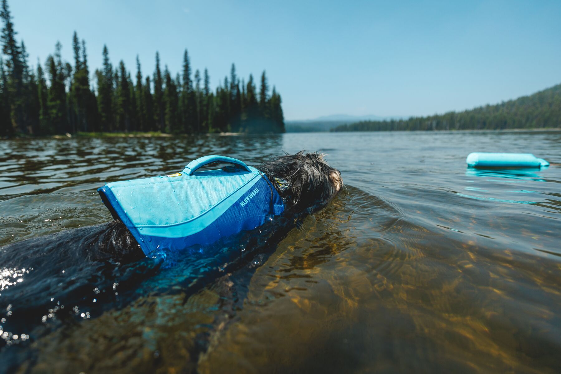 Ruffwear Float Coat Dog Life Jacket – Deep Blue