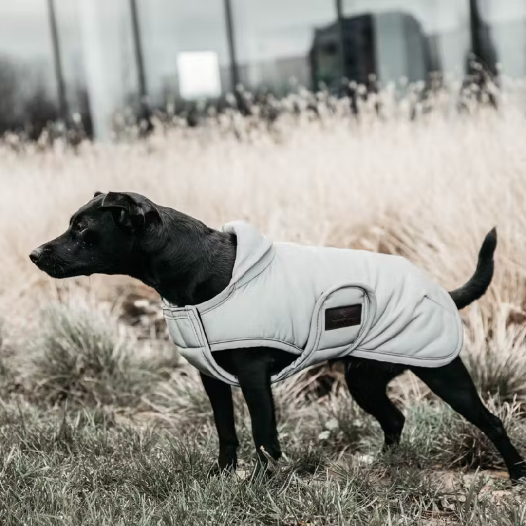 KENTUCKY DOG COAT REFLECTIVE WATER REPELLENT BELLY COVER 150GR - 2