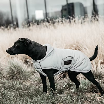 KENTUCKY DOG COAT REFLECTIVE WATER REPELLENT BELLY COVER 150GR