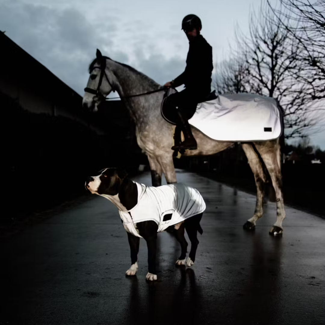 KENTUCKY DOG COAT REFLECTIVE WATER REPELLENT BELLY COVER 150GR - 3