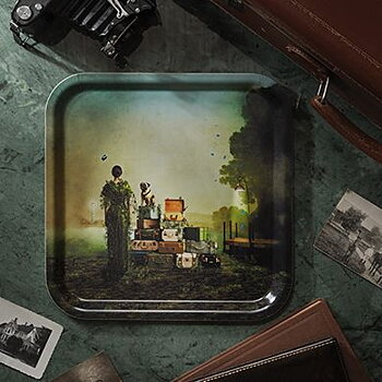 Tray "The patient traveler"