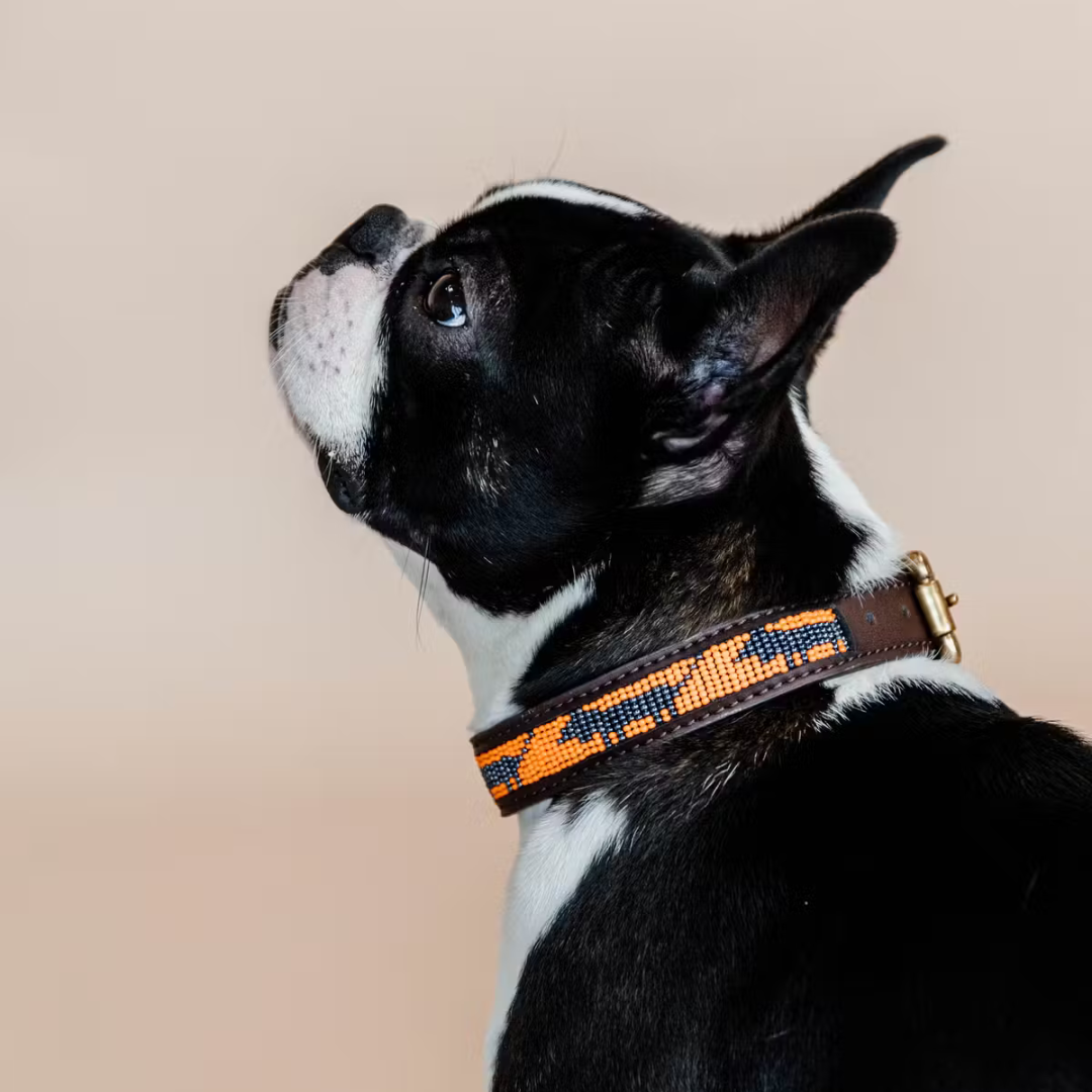 KENTUCKY DOG COLLAR HANDMADE PEARLS - 9