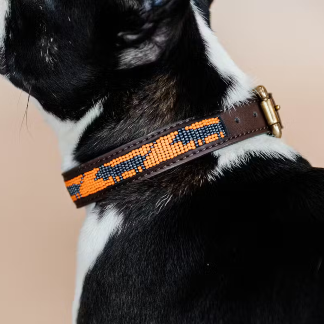 KENTUCKY DOG COLLAR HANDMADE PEARLS - 2