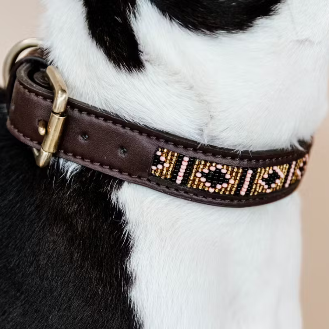 KENTUCKY DOG COLLAR HANDMADE PEARLS - 6