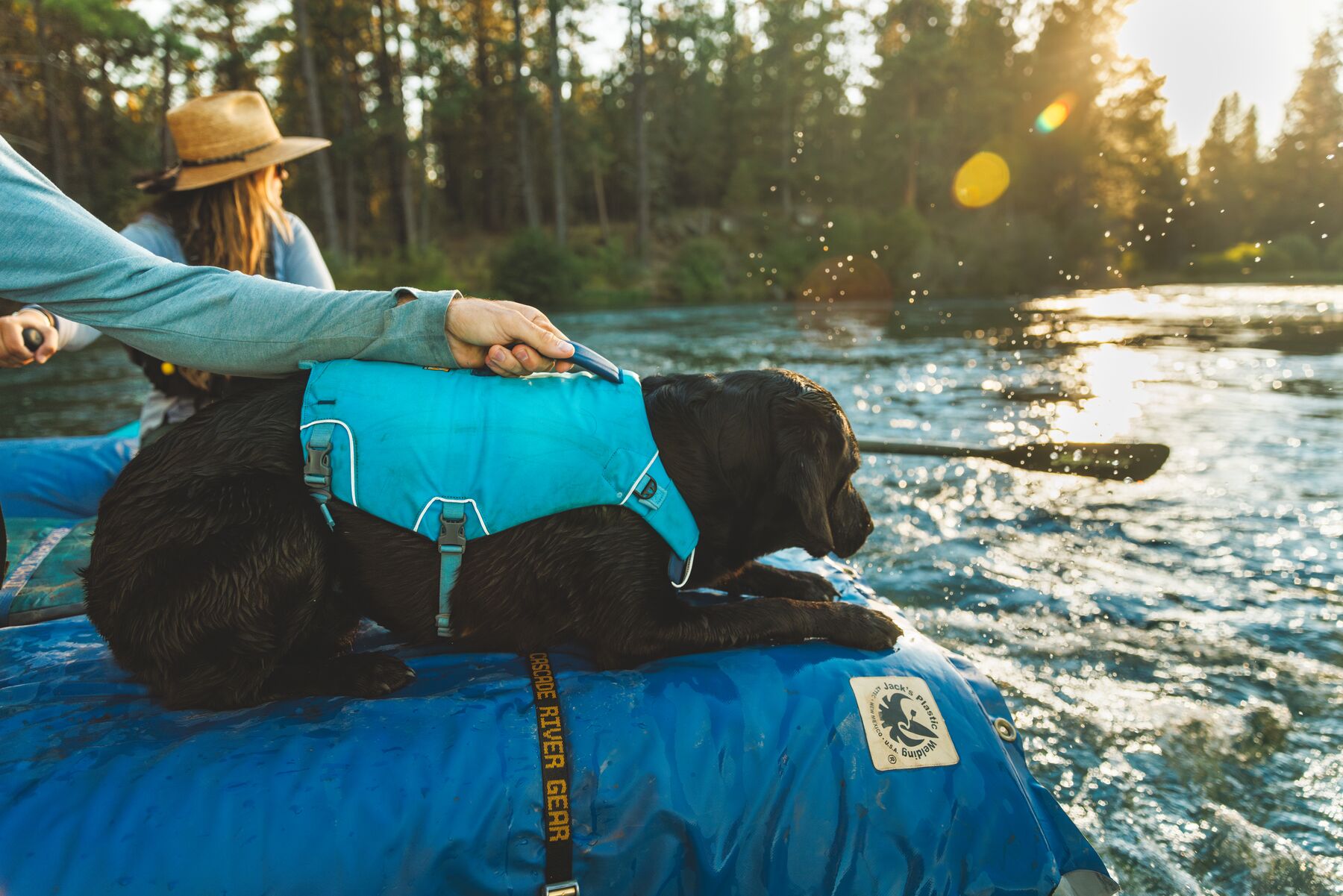 Ruffwear Confluence Dog Life Jacket – Biolumin Blue - safe