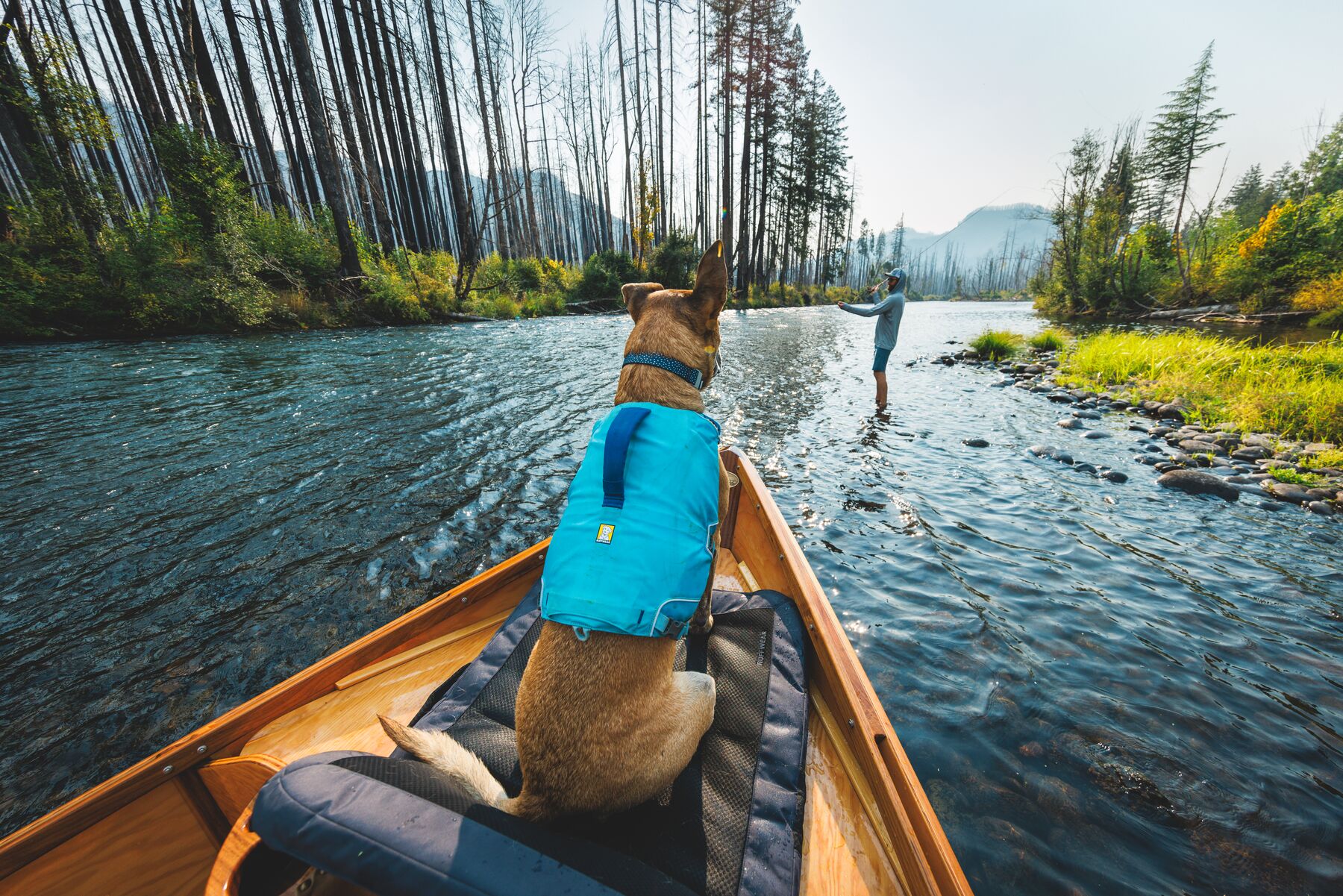 Ruffwear Confluence Dog Life Jacket – Biolumin Blue