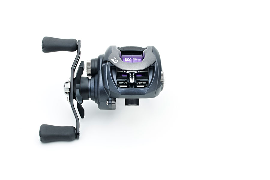 Daiwa 20 PROREX PE SV TW 100 - 3