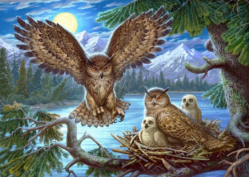 Owl Family, Noessa Diamond Painting