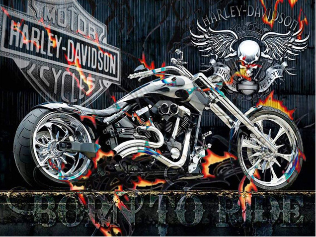 Harley Davidson in Flames, Noessa Diamond Painting