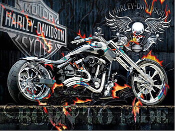 Harley Davidson in Flames, Noessa Diamond Painting