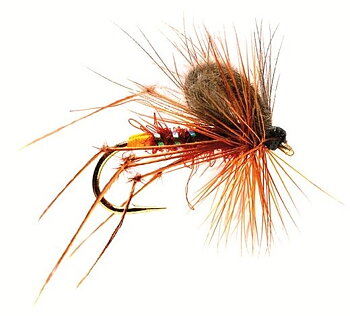 CDC Hopper F/Brown #12