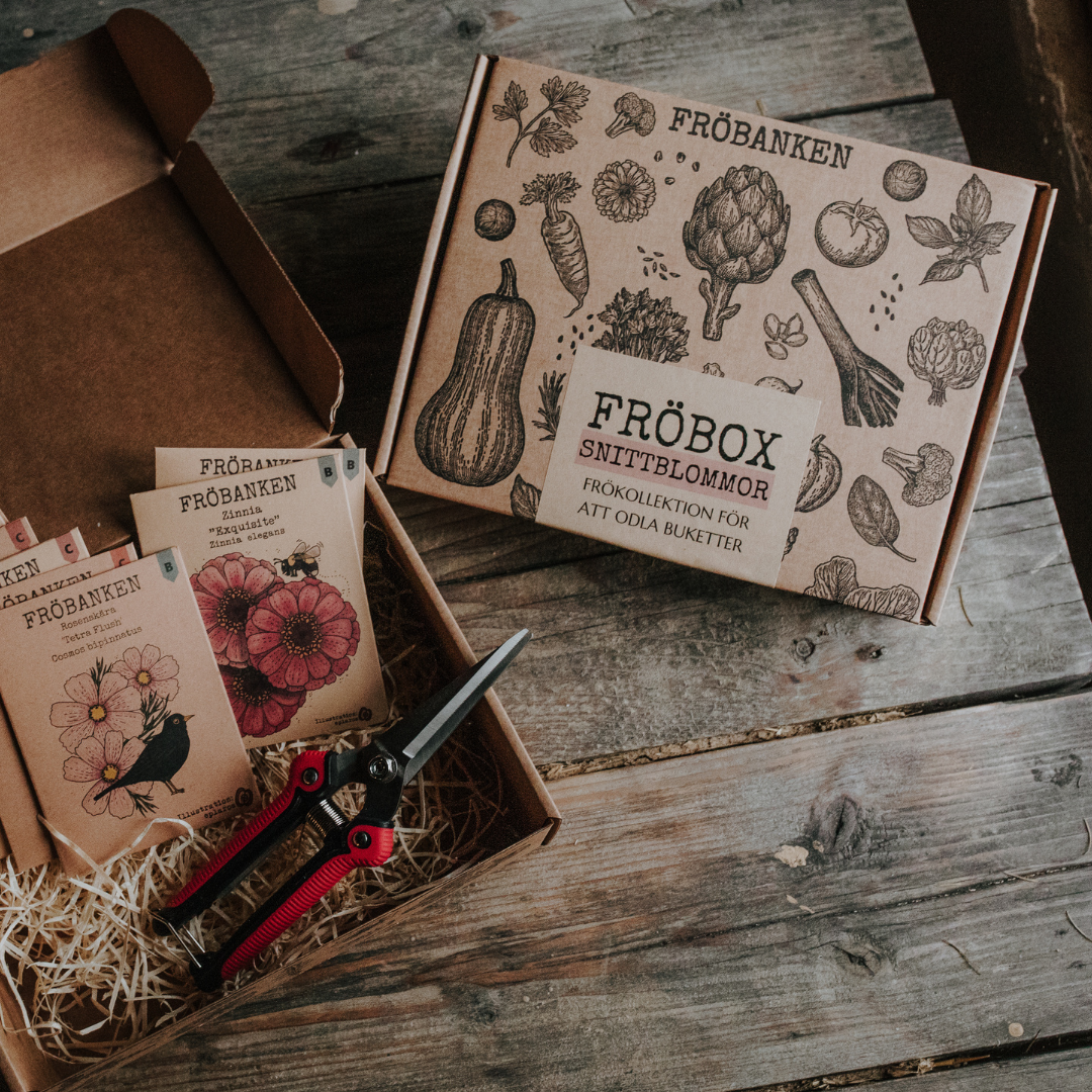 Fröbox - Snittblommor