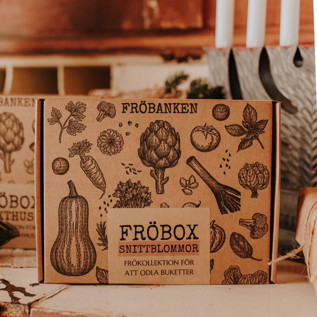 Fröbox - Snittblommor