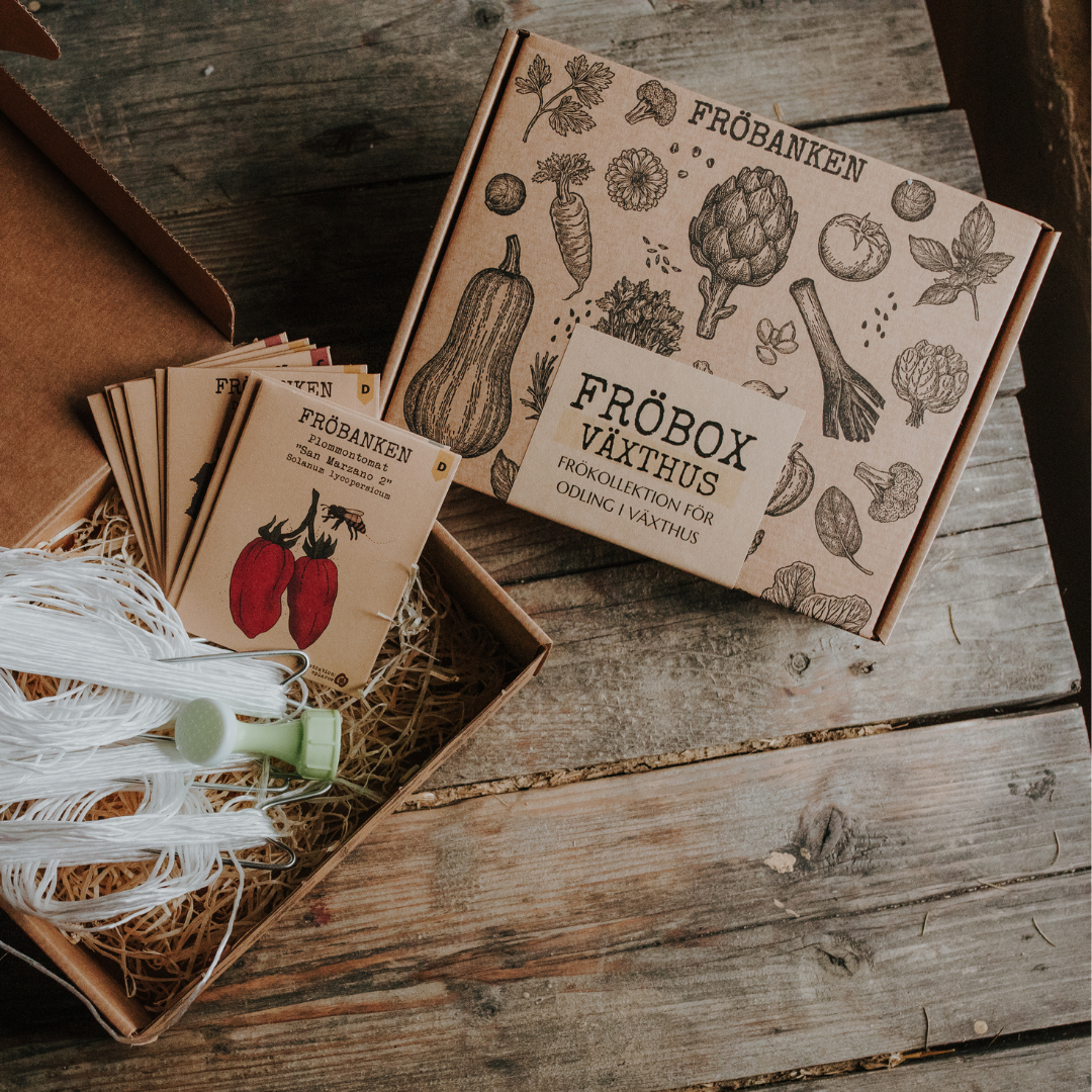 Fröbox - Växthus