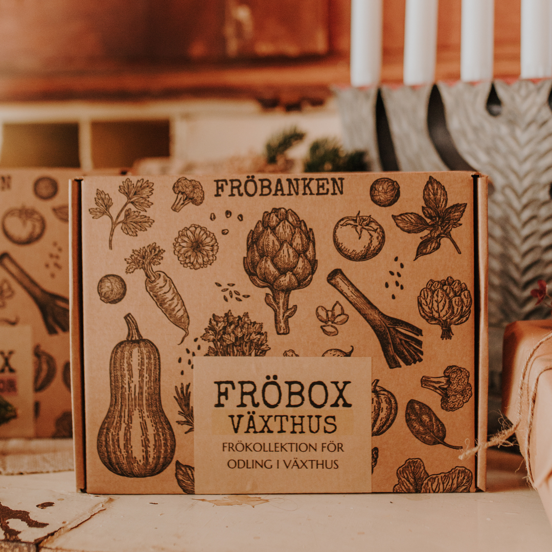 Fröbox - Växthus