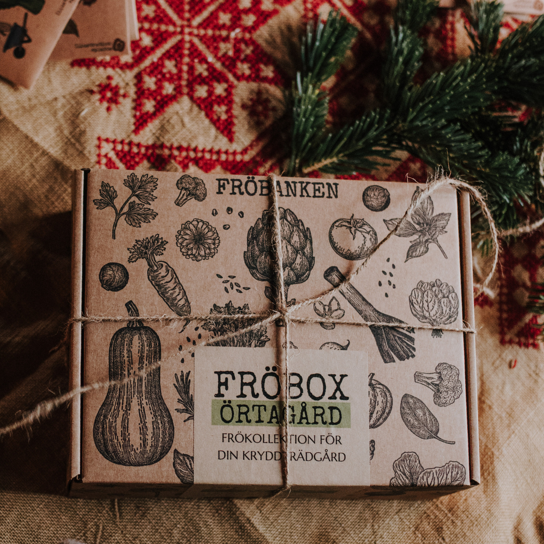 Fröbox - Örtagård
