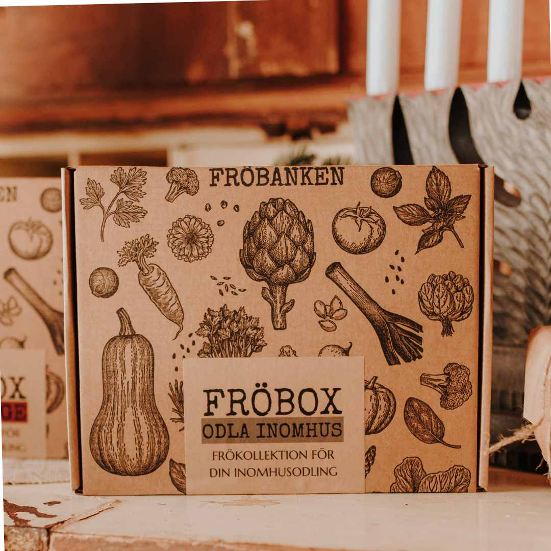 Fröbox - Odla inomhus