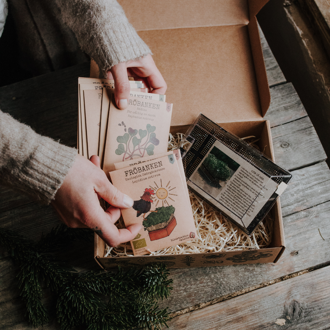 Fröbox - Odla inomhus