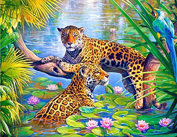 Jaguar in the Bath, Noessa Diamond Painting