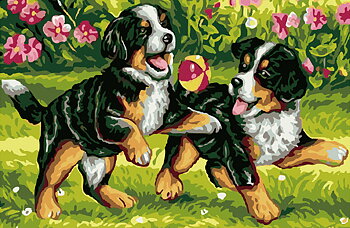 Berner Sennen Fun, Noessa Diamond Painting