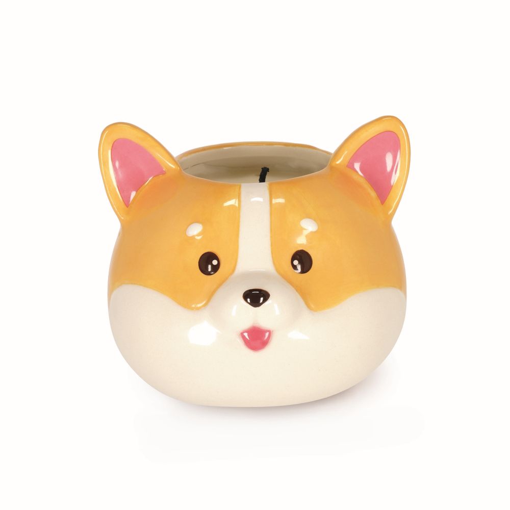 Doftljus, Corgi - 4