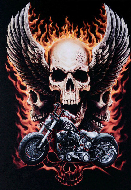 Skull in Flame, Noessa Diamond Painting