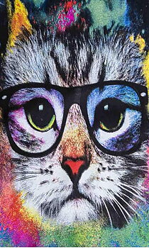 Katt i Glasögon, Noessa Diamond Painting