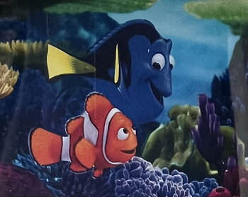 Nemo & Doris, Diamond Picture Diamond Painting