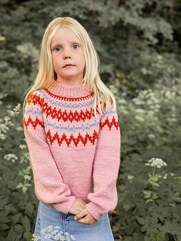 Sandnes Polar-Light Barnegenser 2411_02 (20 m flerfärgsstick st 4)