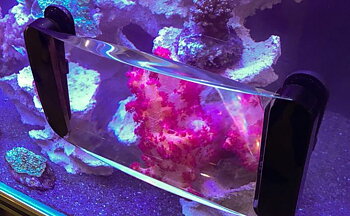 Maxspect Fragnifier