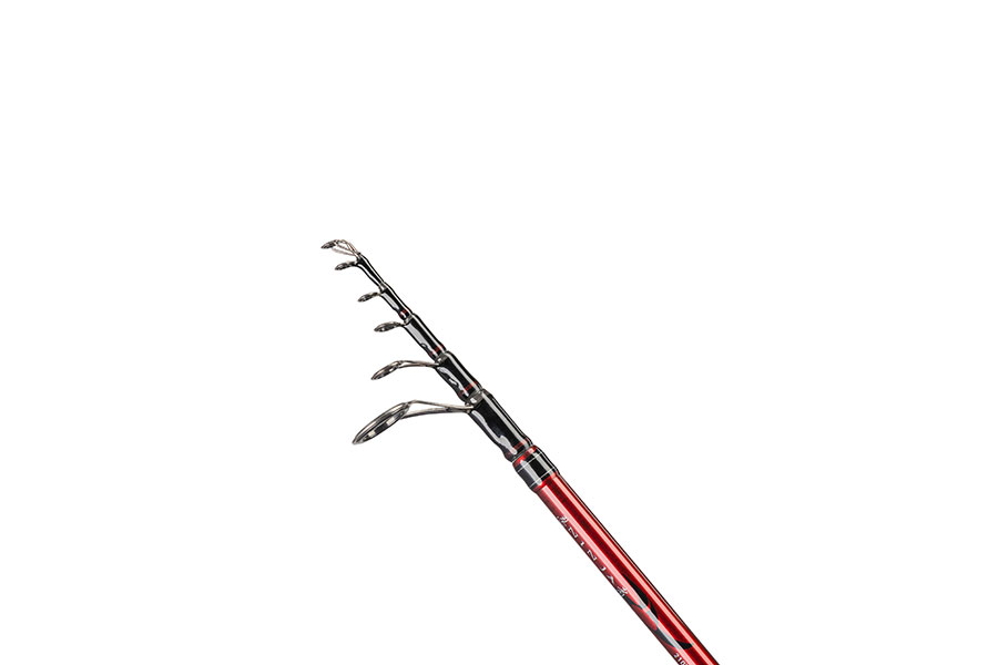 Daiwa Ninja X Tele Spin - 2